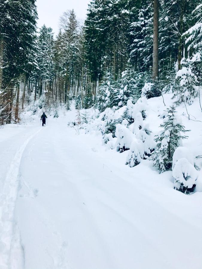 Ferienwohnung Draexl Garten Und Bergblick Nussdorf am Inn Bagian luar foto
