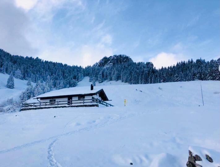 Ferienwohnung Draexl Garten Und Bergblick Nussdorf am Inn Bagian luar foto